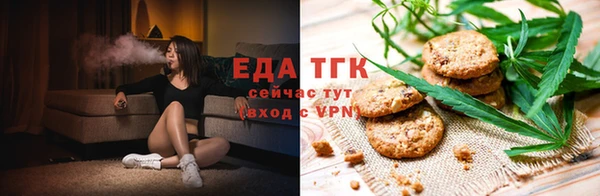 хмурый Корсаков