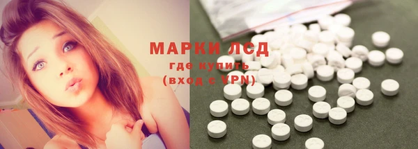 хмурый Корсаков