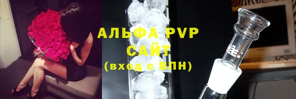 хмурый Корсаков