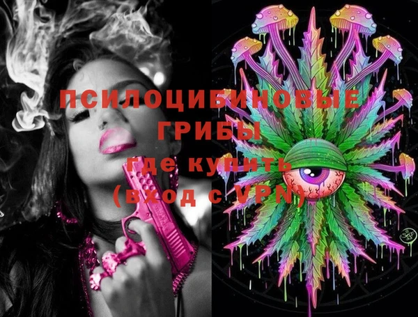 хмурый Корсаков