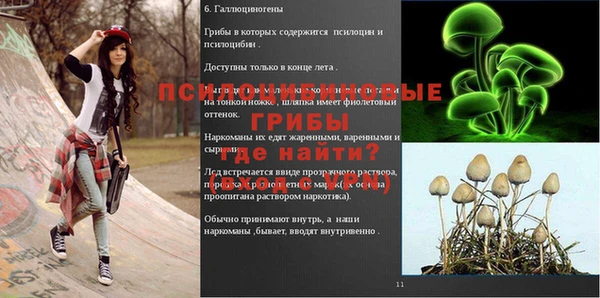 ALPHA PVP Коряжма