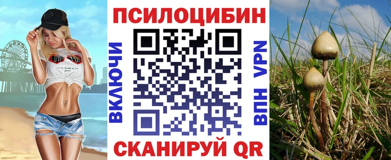 Галлюциногенные грибы MAGIC MUSHROOMS  Купить закладки  Дигора 