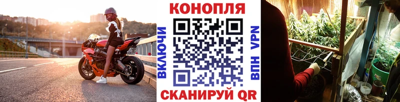 Канабис семена  Купить где  Дигора 